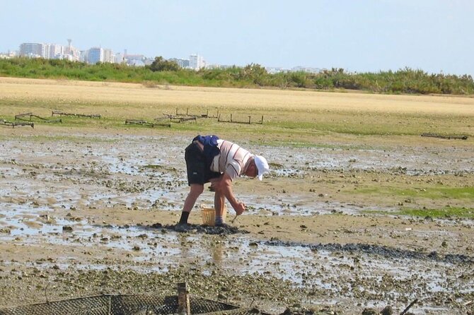 Birdwatching in Ria Formosa - Eco Boat Tour from Faro - Is $48.27 good value for two hours?