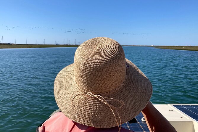 Birdwatching in Ria Formosa - Eco Boat Tour from Faro - Who will enjoy this Faro boat trip?