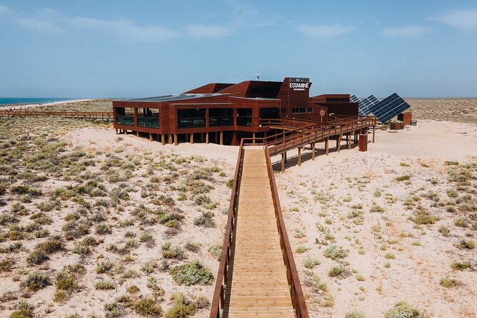 Boat trip from Faro to Ilha Deserta by Ferry - Small Details That Improve the Day