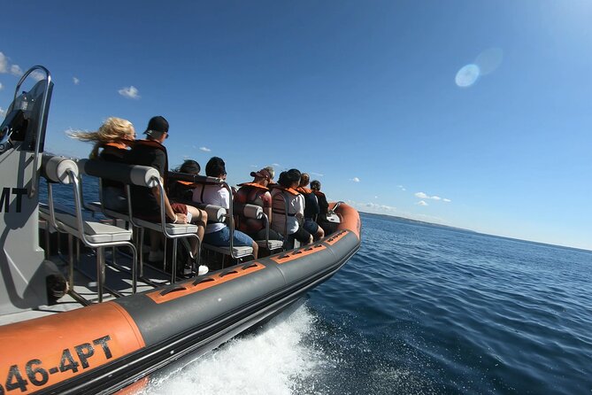 Boat trip to the caves of Benagil - Price, Timing, and Overall Value