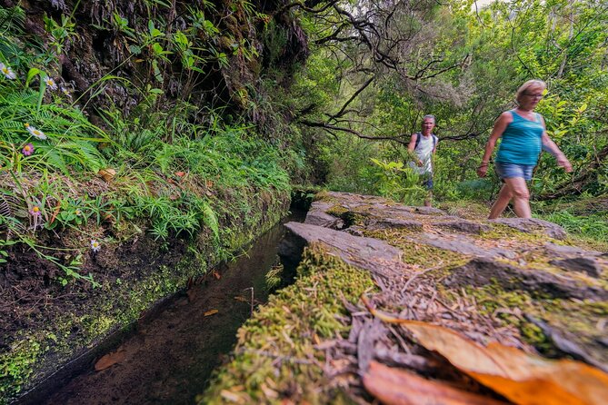 Caldeirão Verde Levadas Walk in Madeira - Guides can make the day much better