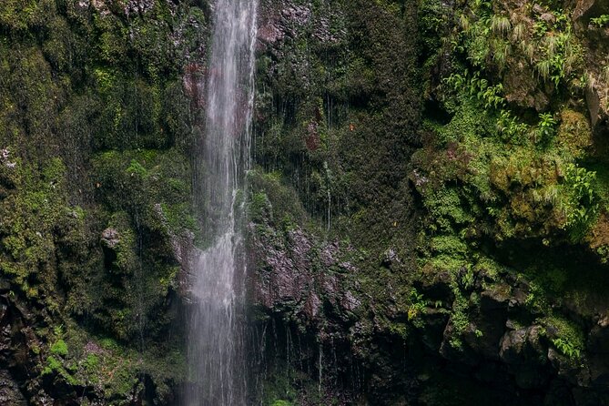 Caldeirão Verde Levadas Walk in Madeira - The early pickup and long day from Funchal