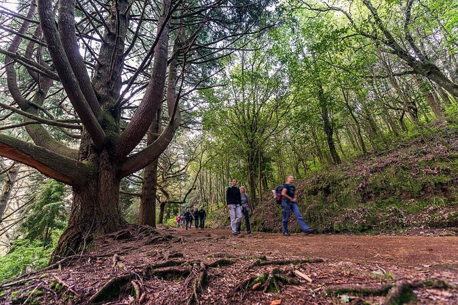 Caldeirão Verde Levadas Walk in Madeira - Is $52.86 good value?