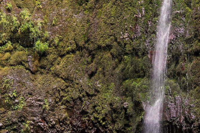 Caldeirão Verde Levadas Walk in Madeira - Who will enjoy this walk most?