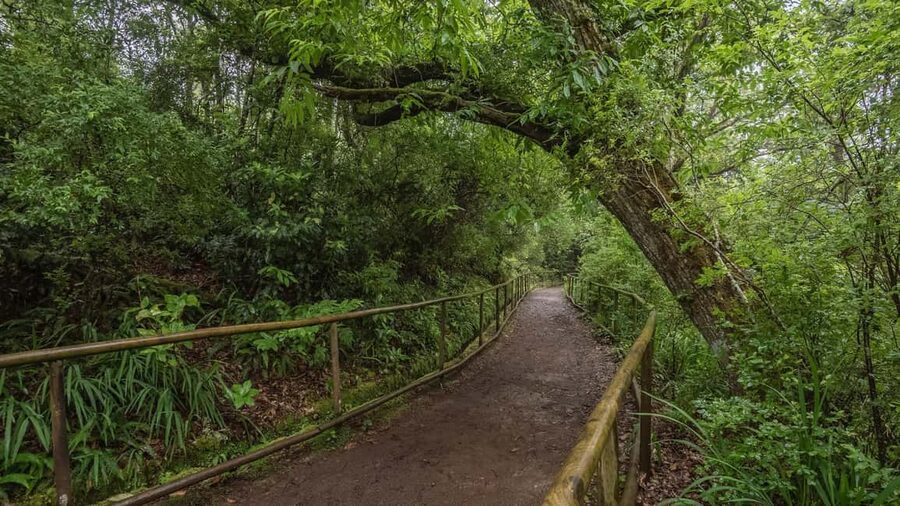Caldeirão Verde: Queimadas PR9 Transfer and Self-Guided Hike - Key points to know before you book