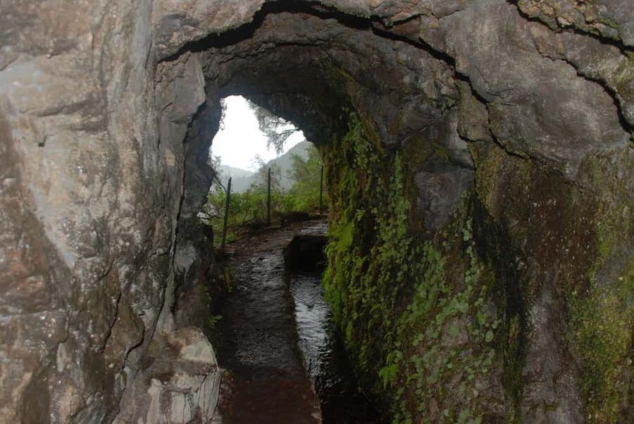 Caldeirão Verde: Queimadas PR9 Transfer and Self-Guided Hike - Walking from Queimadas into Madeira’s old forest