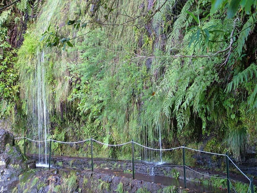 Caldeirão Verde: Queimadas PR9 Transfer and Self-Guided Hike - What the transfer adds, and what it does not