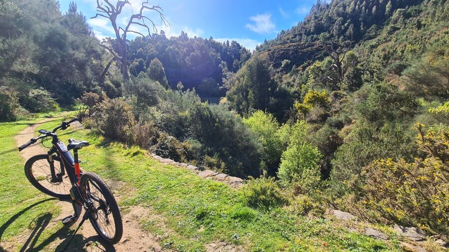 Camacha: Levada Trail e-Bike Guided Tour - The e-bike climb toward Santo da Serra
