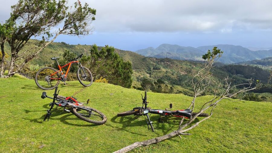 Camacha: Levada Trail e-Bike Guided Tour - Santo da Serra Market and the return ride