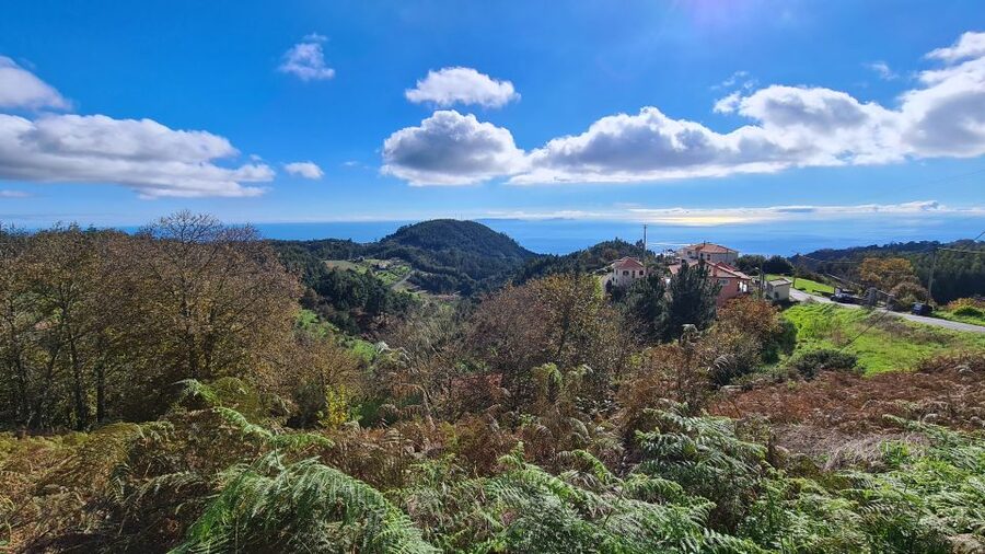 Camacha: Levada Trail e-Bike Guided Tour - Pickup from Funchal and other Madeira towns