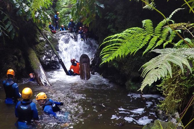 Canyoning Experience at Ribeira Grande - A first canyoning trip with real Azorean scenery