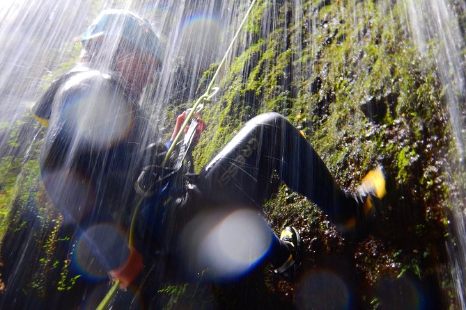 Canyoning Experience - half day - A stream course with several different obstacles