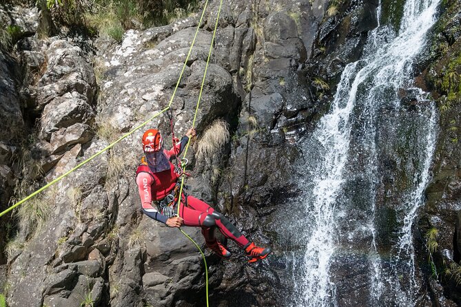 Canyoning in Madeira: Ideal for Beginners and Families - Who should book this Madeira adventure?