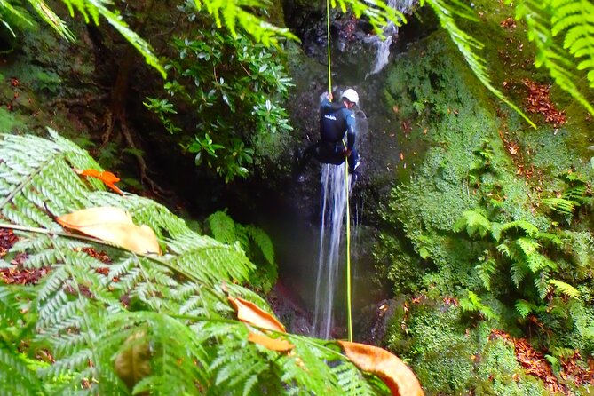 Canyoning Madeira Island - Level One - Learning the ropes before the first descent