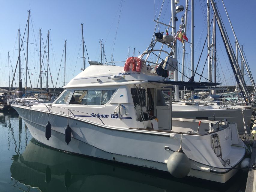 Cascais Deep-Sea Fishing Trip - What you can do with the fish