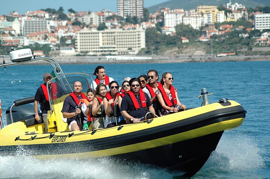 Cascais: Dolphin Watching Speedboat Tour - Who will enjoy this most?