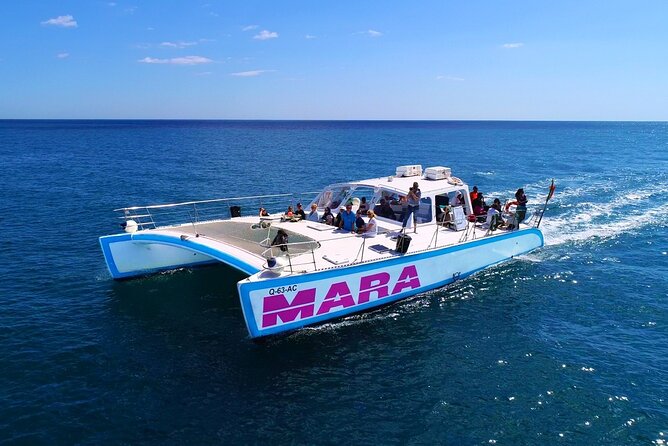 Catamaran BBQ on the Beach: Cruise to Benagil Caves - Catamaran comfort, space, and crowd size