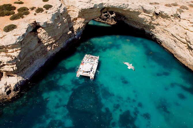 Catamaran Cruise: Caves and Coastline to Benagil - From Albufeira Marina to the open coast