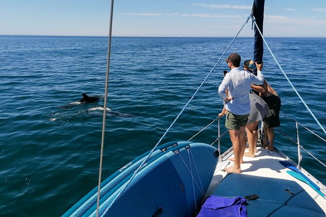 Coastal Tour on a Luxury Sailing Yacht From Vilamoura - Following the full length of Falésia Beach