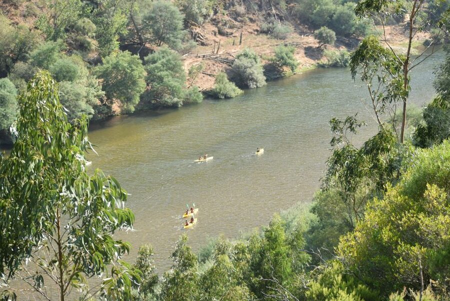 Coimbra: Mondego River Kayaking Tour - Crowds, Seasons, and What You Will See