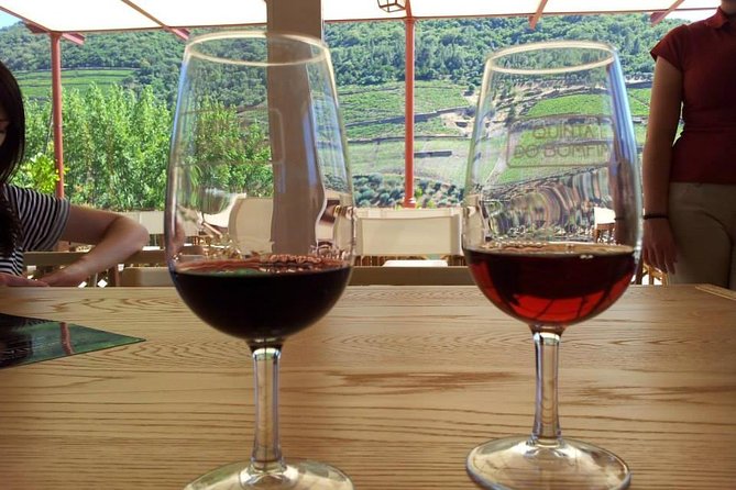 Complete Douro Valley Wine Tour with Lunch, Wine Tastings and River Cruise - Folgosa and the second winery