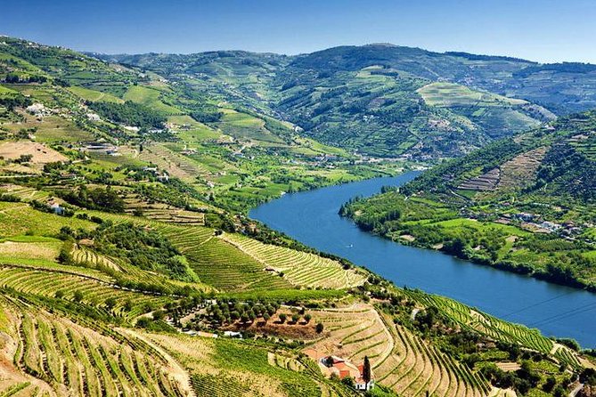 Complete Douro Valley Wine Tour with Lunch, Wine Tastings and River Cruise - What the guides add to the day