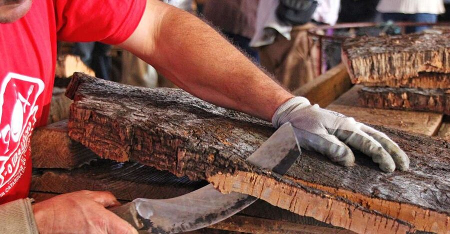 Cork Factory Tour - Key points to know before you go