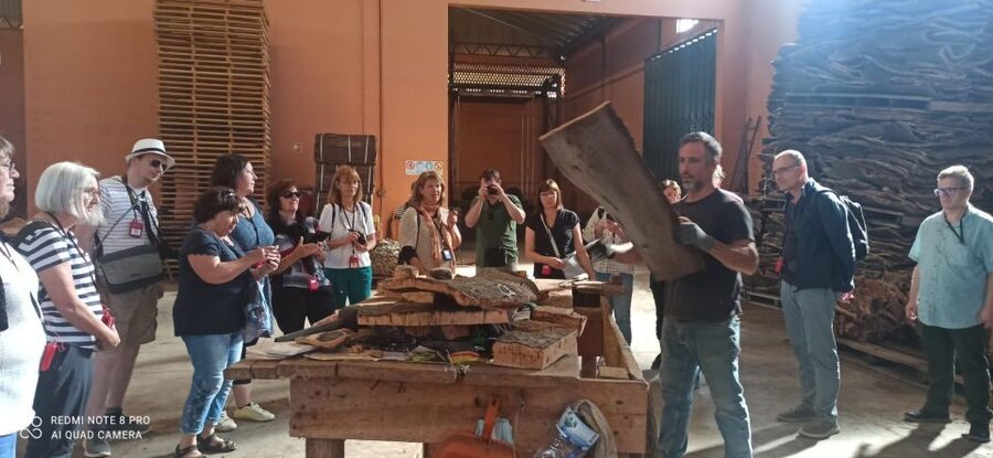 Cork Factory Tour - Why cork makes this small Algarve tour worthwhile