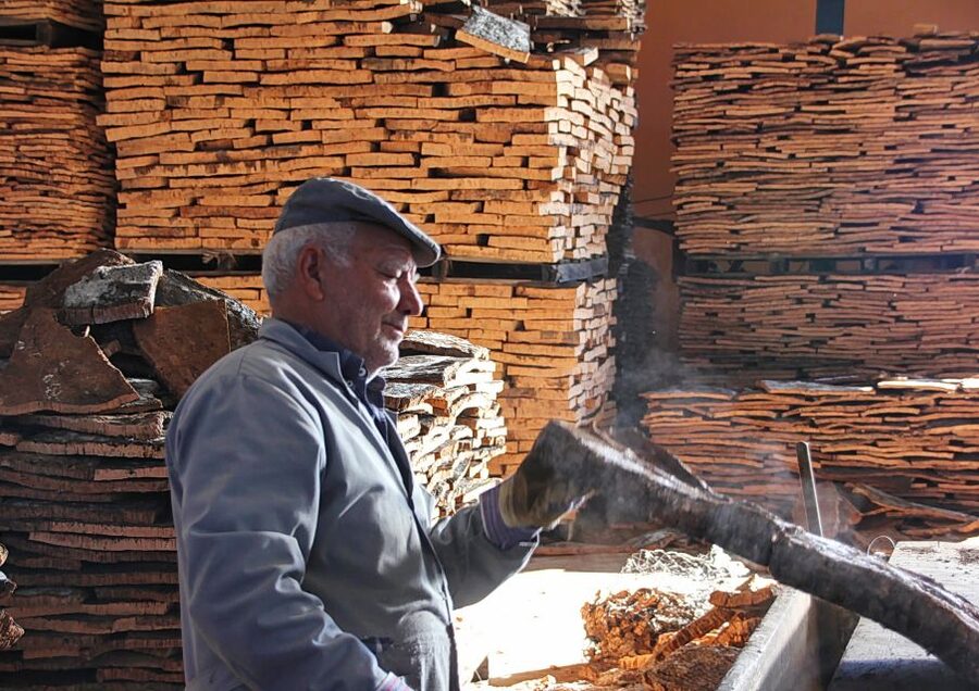 Cork Factory Tour - Following cork from bark to prepared material