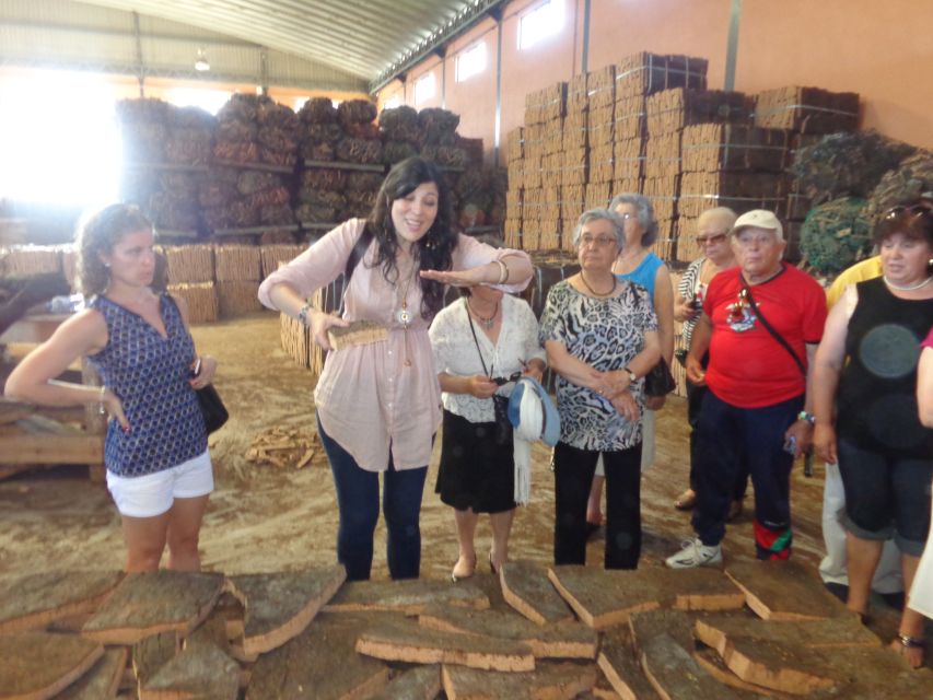 Cork Factory Tour - Is $20 a fair price for 50 minutes?