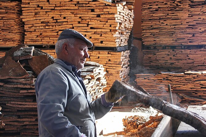 Cork Factory Tour & Cork Shop - The opening explanation: from cork oak to useful material