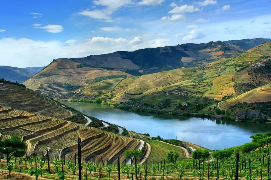 Day Cruise from Porto to Pinhão with Breakfast and Lunch - Is the $123 price good value?