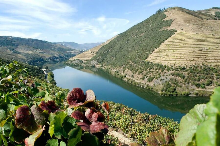 Day Cruise from Porto to Pinhão with Breakfast and Lunch - Who should choose this cruise?