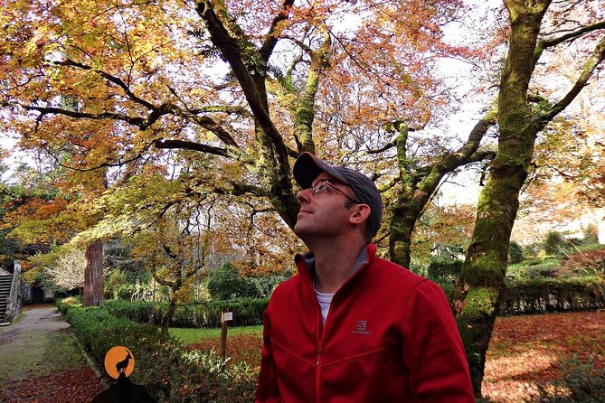 Discovering the charms and places of Coimbra - What the private format changes