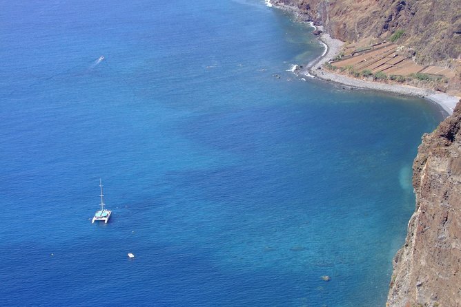 Dolphin and Whale Watching Catamaran Cruise from Funchal - Cancellation and practical terms