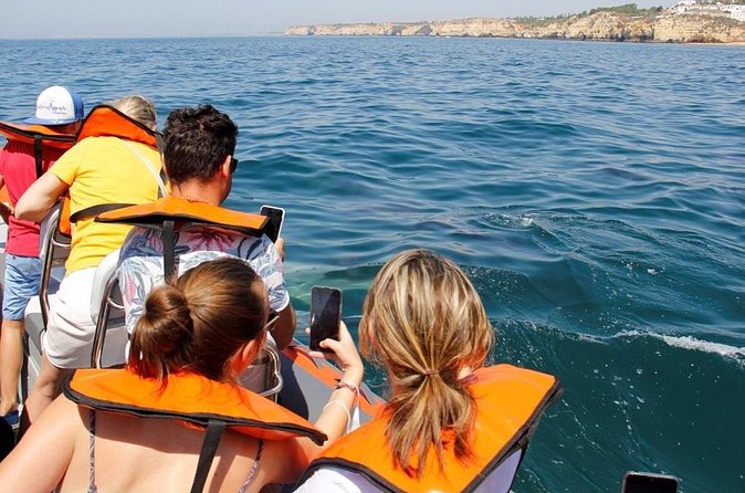 Dolphin and Whale Watching in Lagos - Comfort, speed, and physical demands