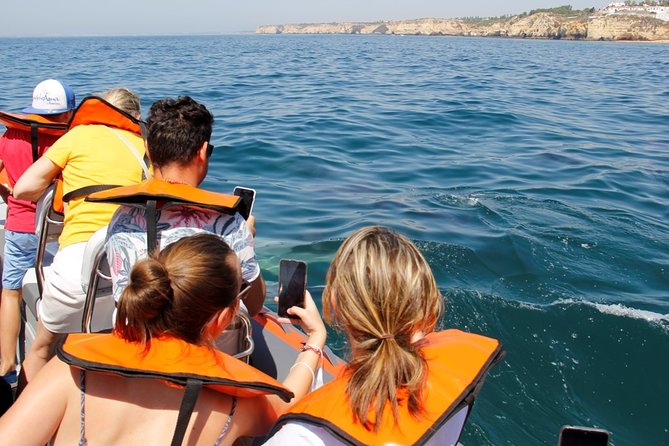 Dolphin and Whale Watching in Lagos - Who will enjoy this Lagos outing most