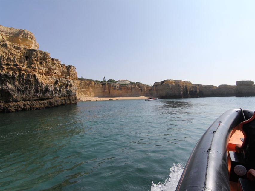 Dolphin Safari and Cave Tour in Vilamoura - The return cruise is part of the attraction
