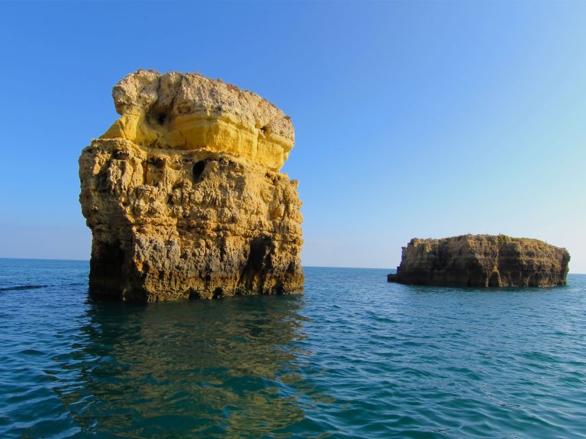 Dolphin Safari and Cave Tour in Vilamoura - What the crew adds to the experience