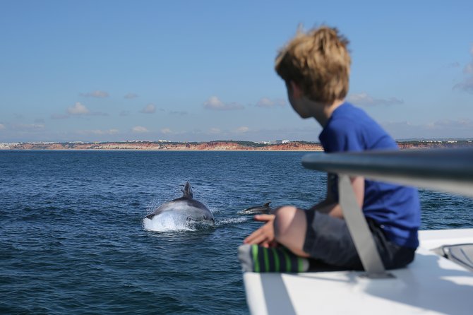 Dolphin Search - Dolphin Quest - What makes this dolphin trip worth considering