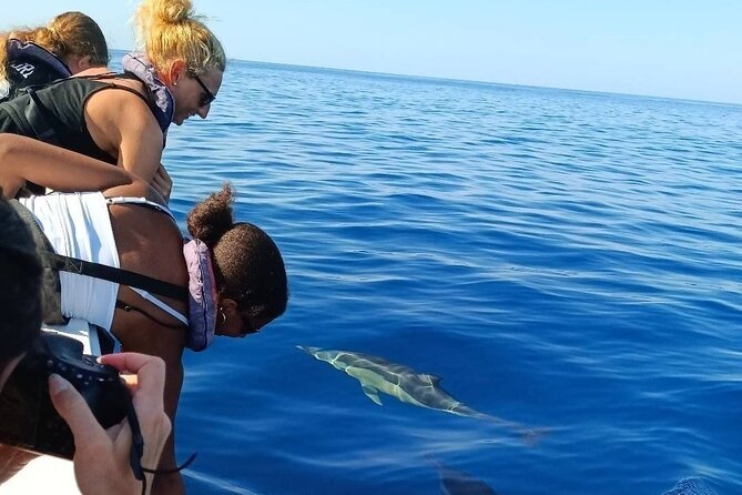 Dolphin Watching + 2 Islands Tour - From Faro - Who will enjoy this Faro boat tour?
