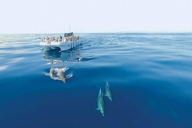 Dolphin Watching and Cave Boat Cruise from Albufeira - Following the sandstone coast toward Benagil