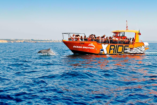 Dolphin Watching and Caves Cruise - Key points to know before you book
