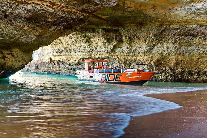 Dolphin Watching and Caves Cruise - Searching for dolphins in the open sea