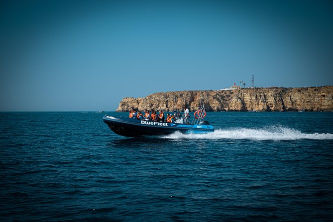 Dolphin Watching from Lagos with Marine Biologists - What the $48.39 price gives you