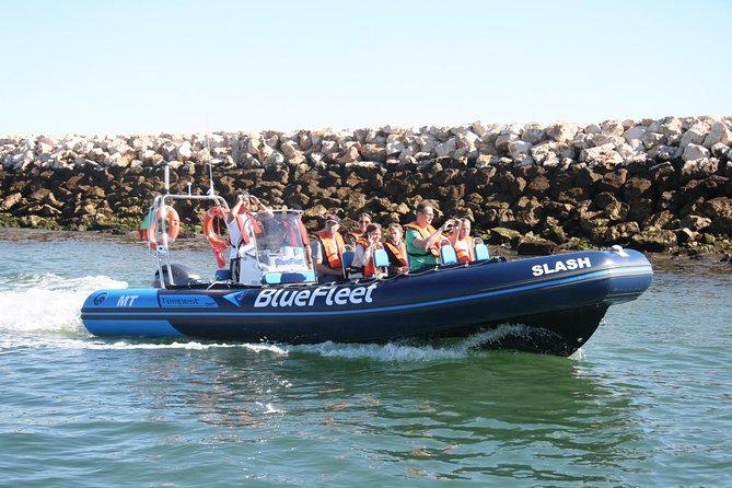 Dolphin Watching from Lagos with Marine Biologists - Who will enjoy this trip most