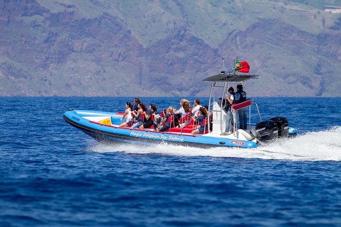 Dolphin - Whale - Turtle - Bird Watching - What the two-hour route feels like