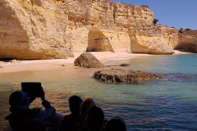 Dolphins Search and Benagil Caves from Albufeira - Searching for dolphins along the Algarve coast
