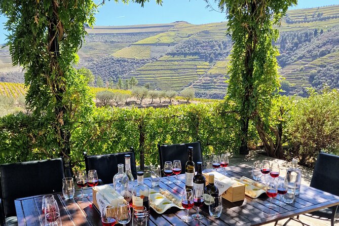 Douro Valley-Expert Guide-Boat-Lunch-Tastings-Offer wine bottle - Why this Douro Valley day works so well from Porto