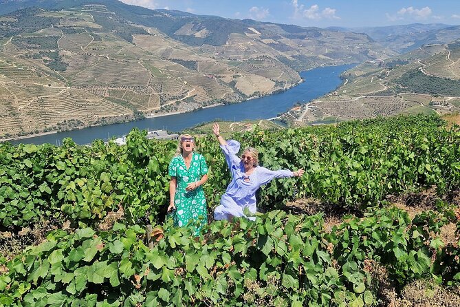 Douro Valley-Expert Guide-Boat-Lunch-Tastings-Offer wine bottle - Is $216.59 a fair price?